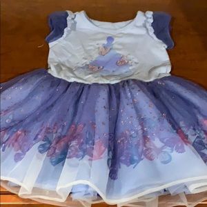 Disney Princess Dress